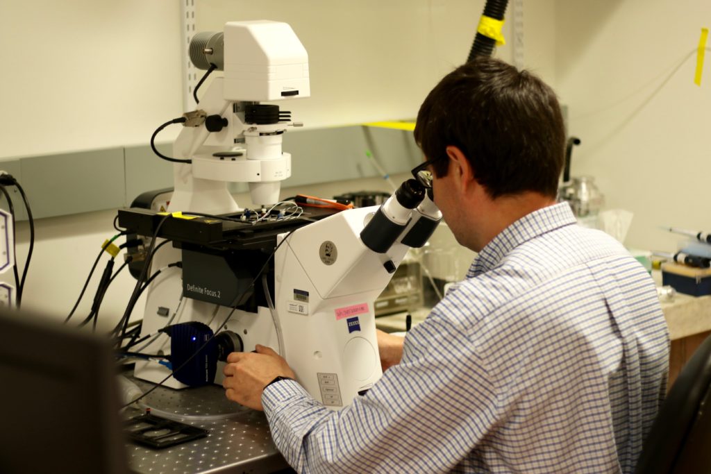 What Is Mitochondrial Disease Mitochondrial Research Guild