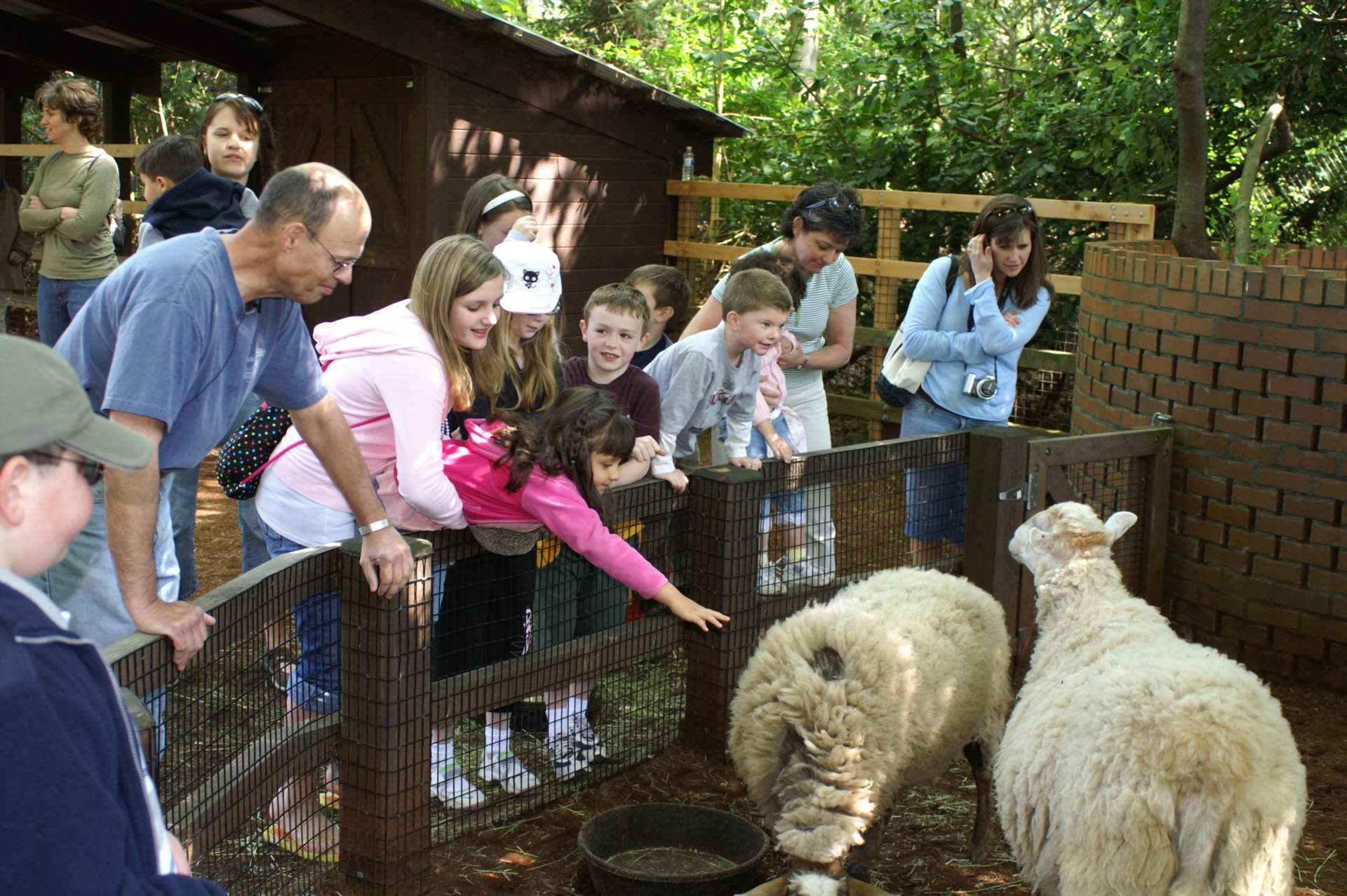 Other Mito Guild Events Mitochondrial Research Guild